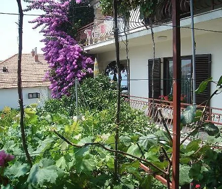 Knez Τρογκίρ