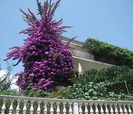 Διαμέρισμα Knez