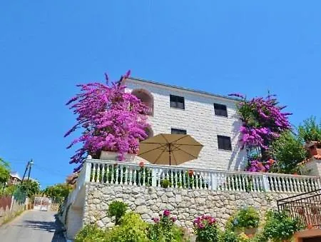 Knez Trogir